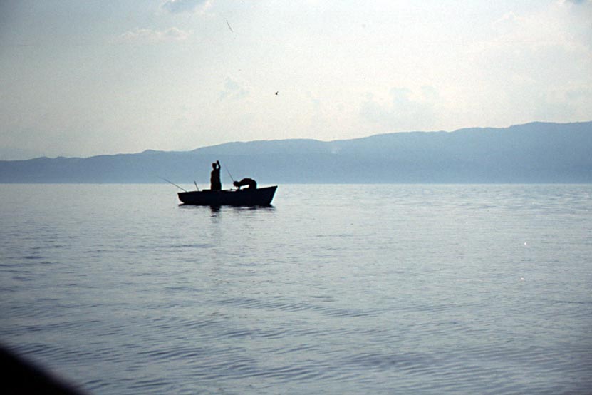 176_ohr_kalastaja_vilkuttaa