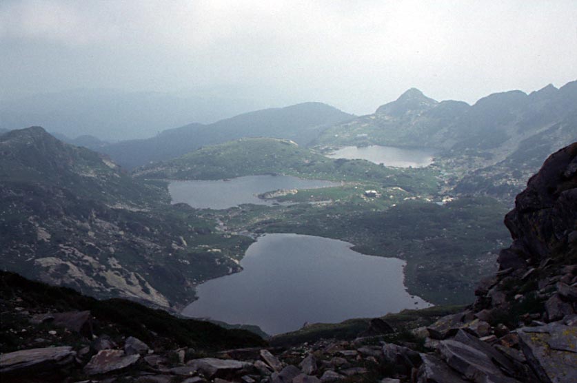 240_ril_jarvet