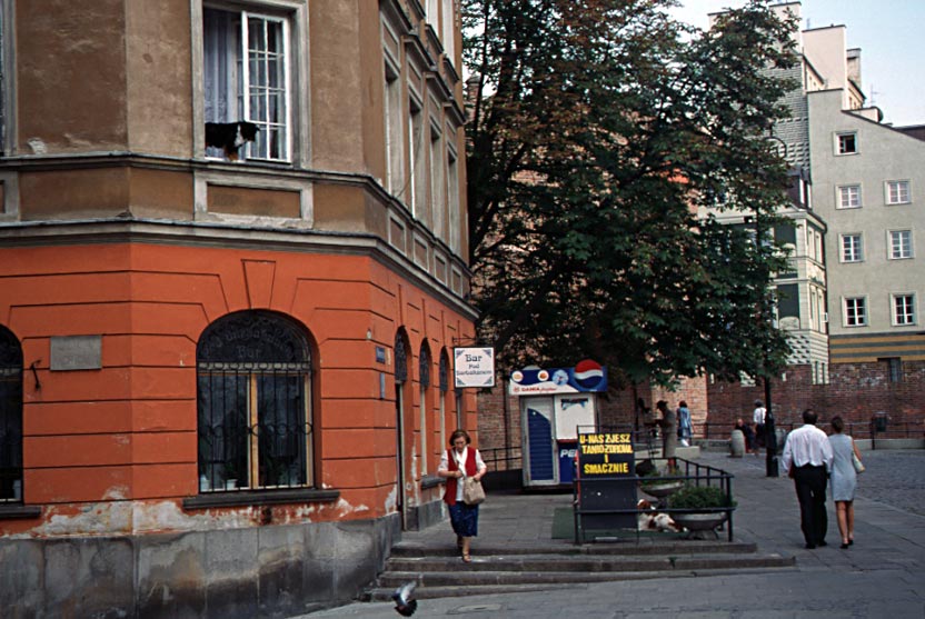 395_var_koira_ikkunalaudall