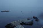 231_ril_usvainen_jarvi