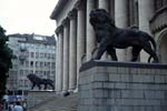 263_sof_leijonat