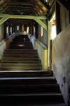 274_sig_puutunneli