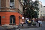 395_var_koira_ikkunalaudall